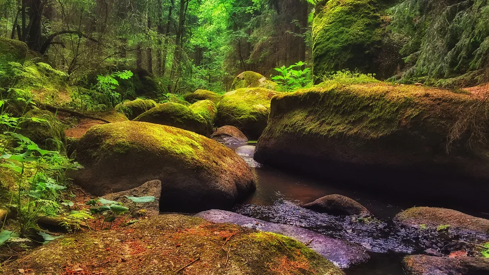 Felsen und Bach im Naturschutzgebiet Doost